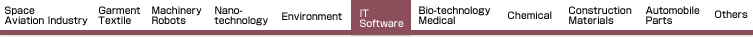 IT/Software
