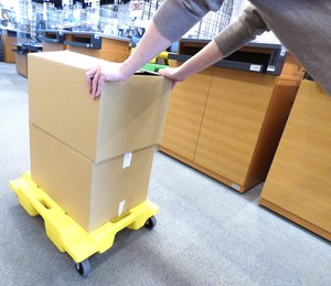 P1290699 rv.JPG