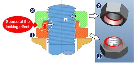 HLN_structure11.jpg