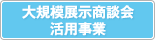 大規模展示商談会活用事業