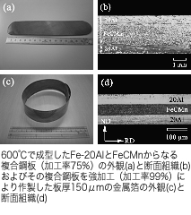 Fe-Al合金を利用した高機能複合鋼板