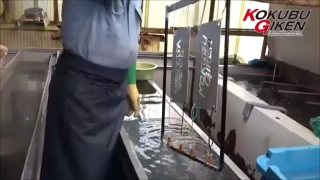 会社の写真